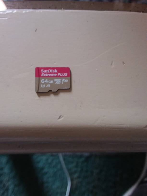 20190212_100230.jpeg