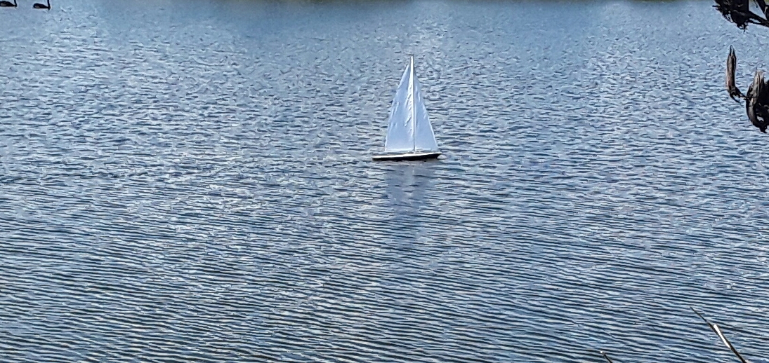 20190330_144916.jpg