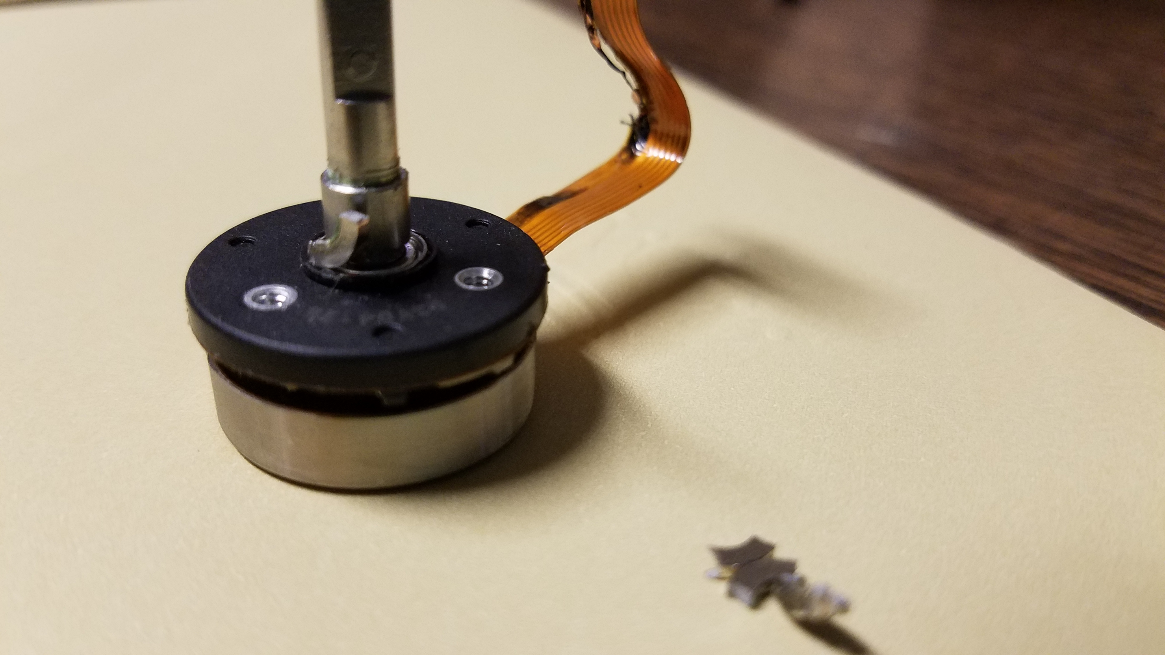 20190705_102521[1].jpg