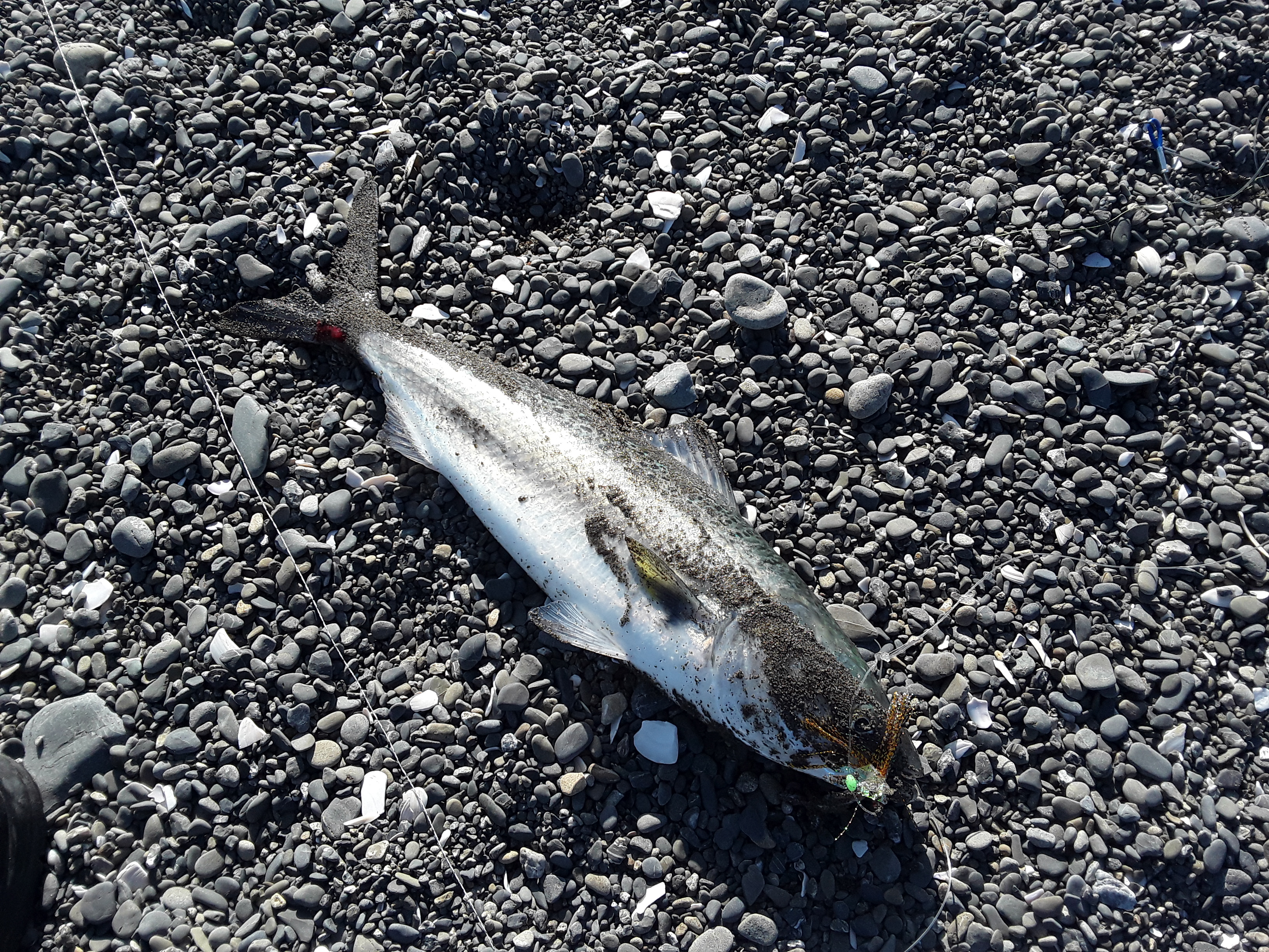 20190827_153404.jpg
