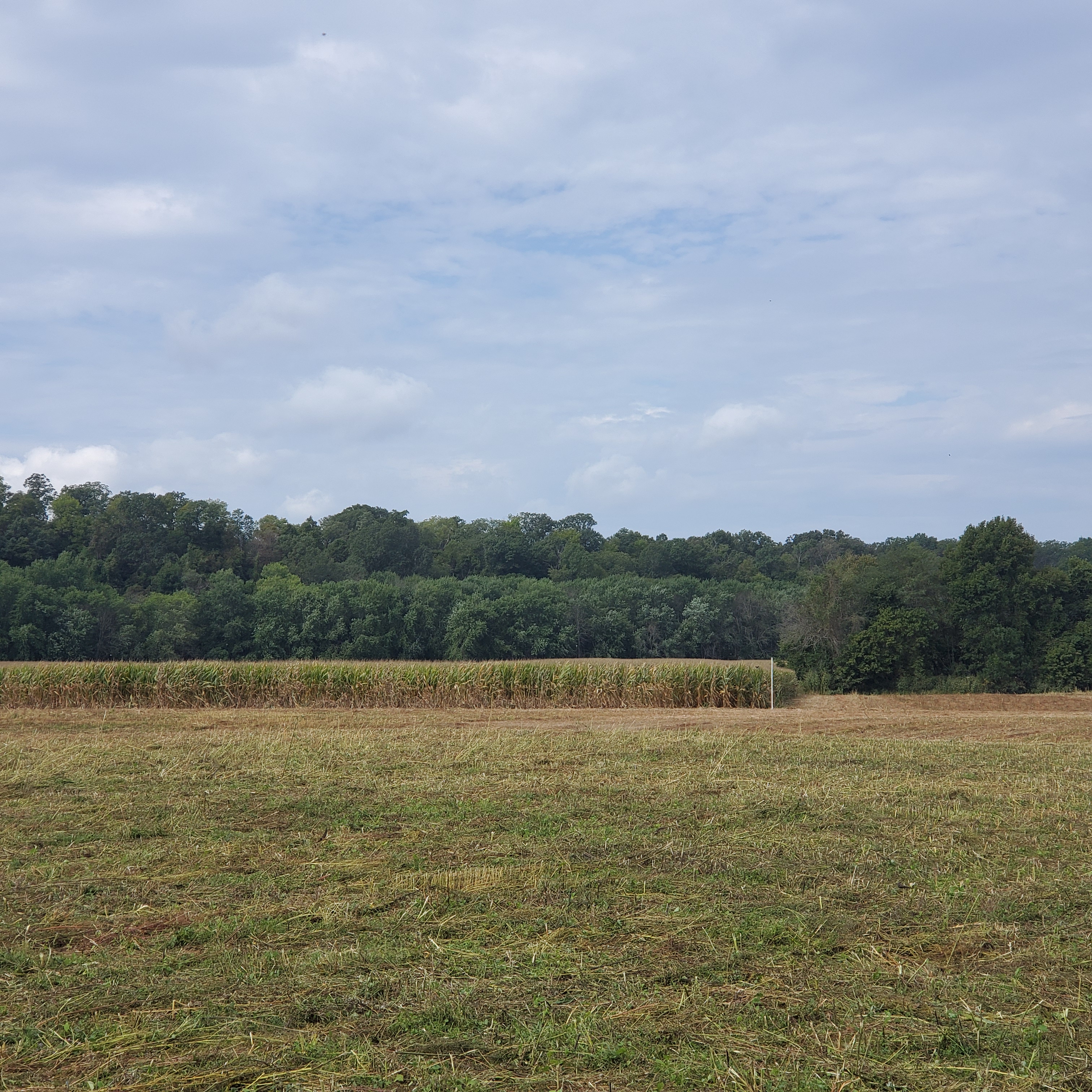 20190921_105728.jpg