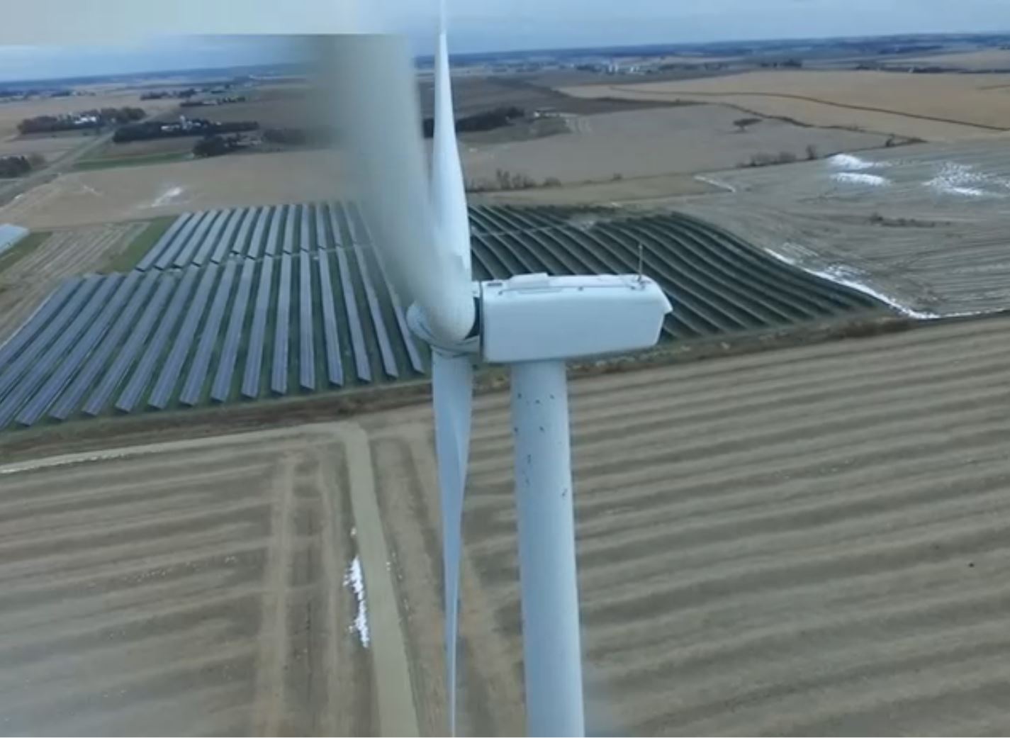 20191113 Wind Turbine Death.JPG