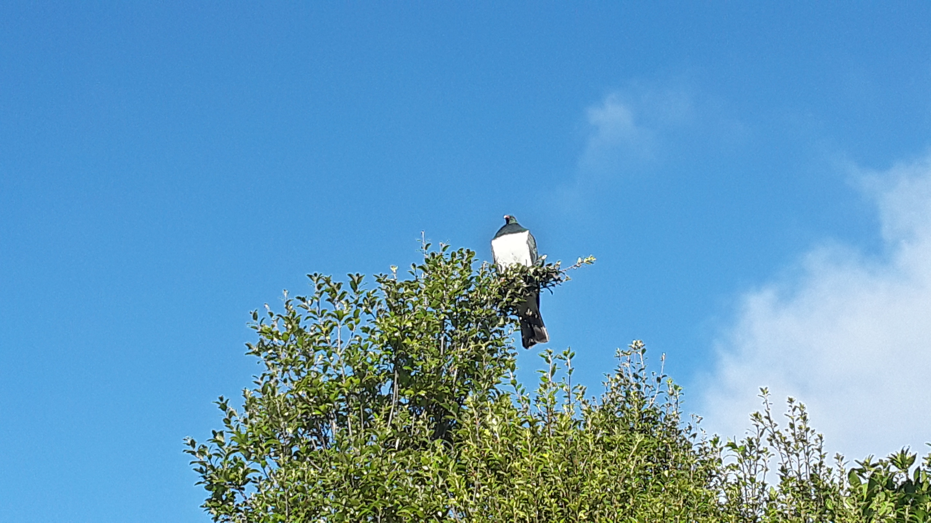 20210502_151443.jpg
