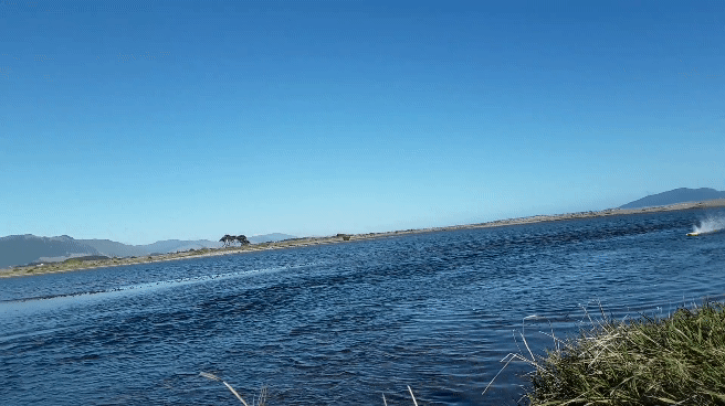 20210609_120701_001_001_1.gif
