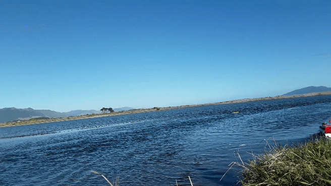20210609_120701_001_001_2.gif