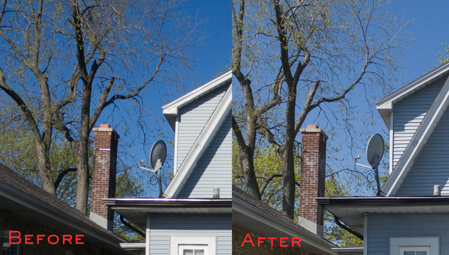 3-Tree-chimney-Before-After.jpg