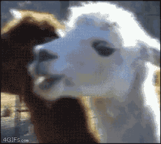 65A69885-C2E2-41AE-8860-ABA6058AEF82.gif