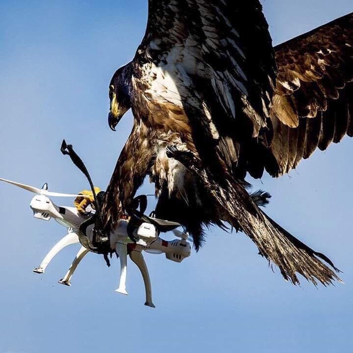 B1D49139-469E-4512-8384-5DF88E6A9722.jpeg