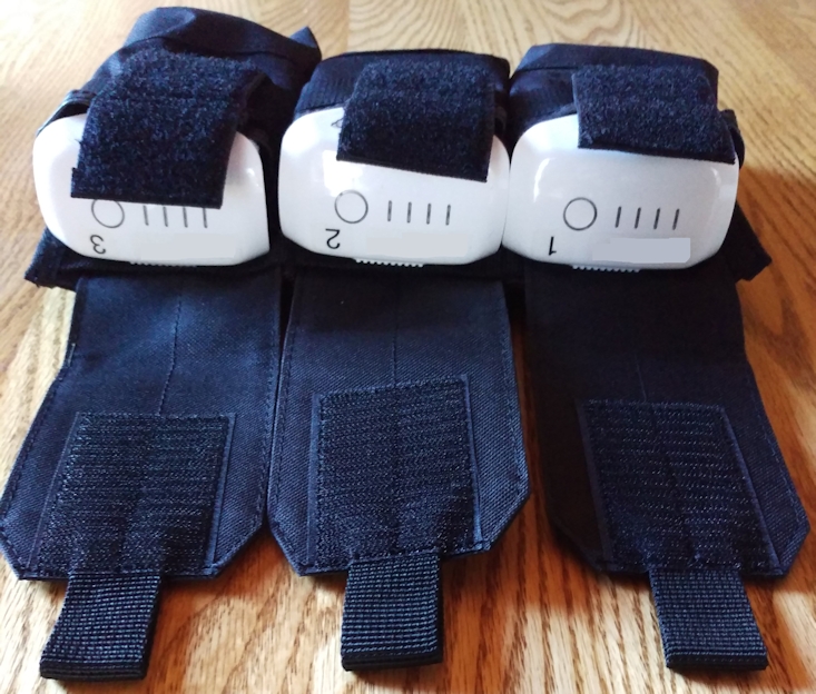 Battery Holster Top Cropped.jpg