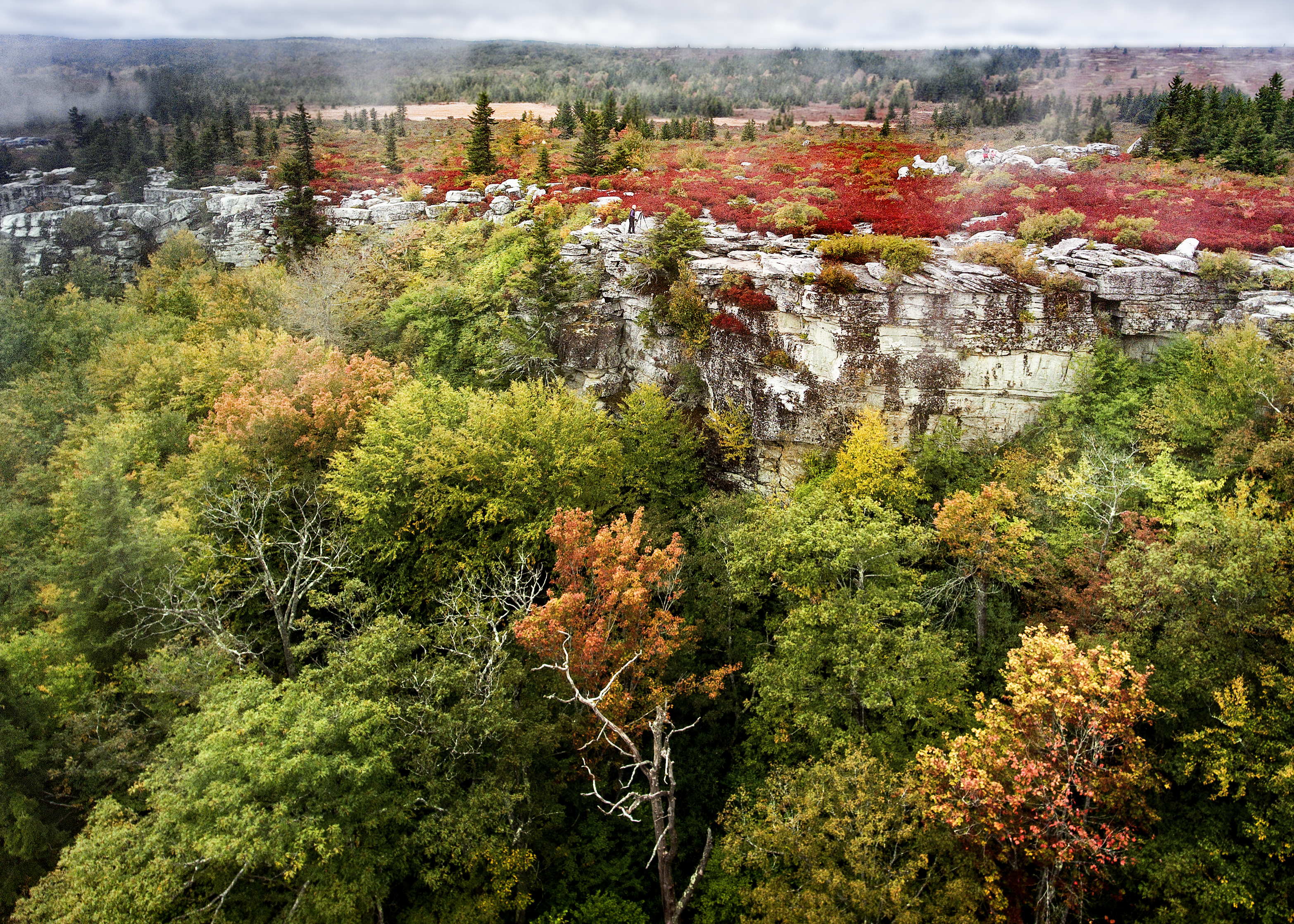 bear rocks 6c.jpg