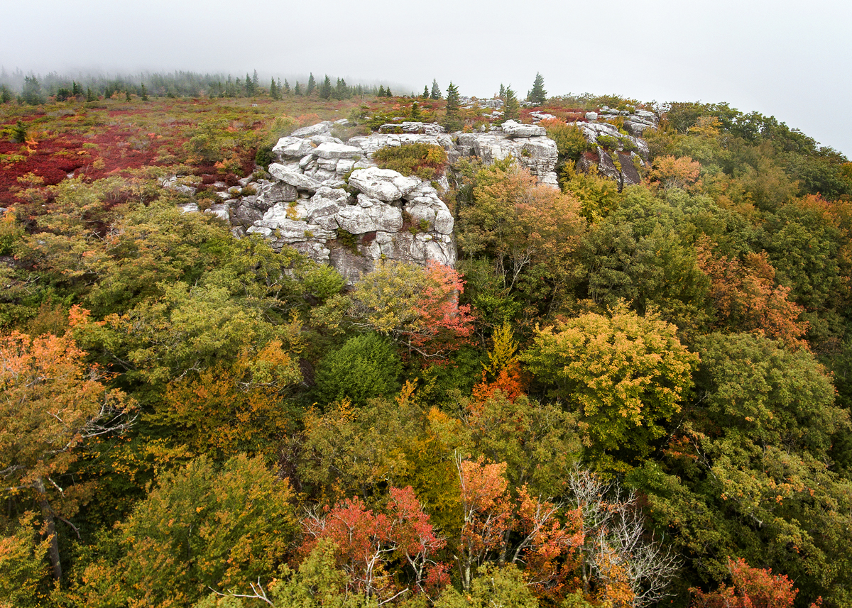 bear rocks1.jpg