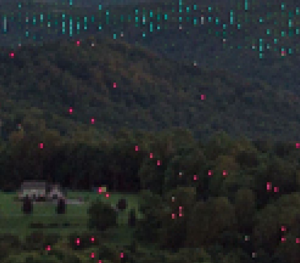BigRoot.JPG