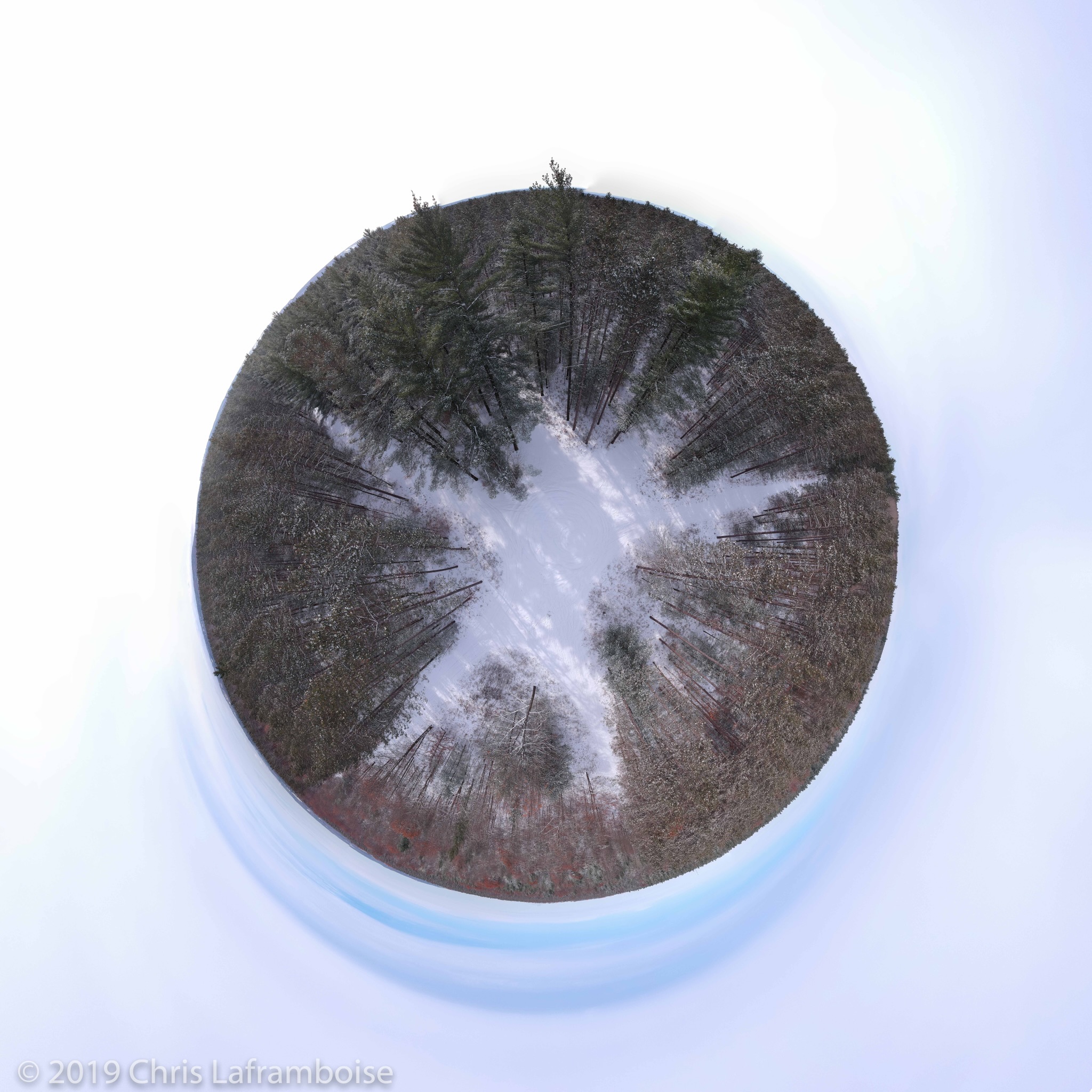 C3B08866-4263-4EFC-9AD5-34AD78335171.jpeg