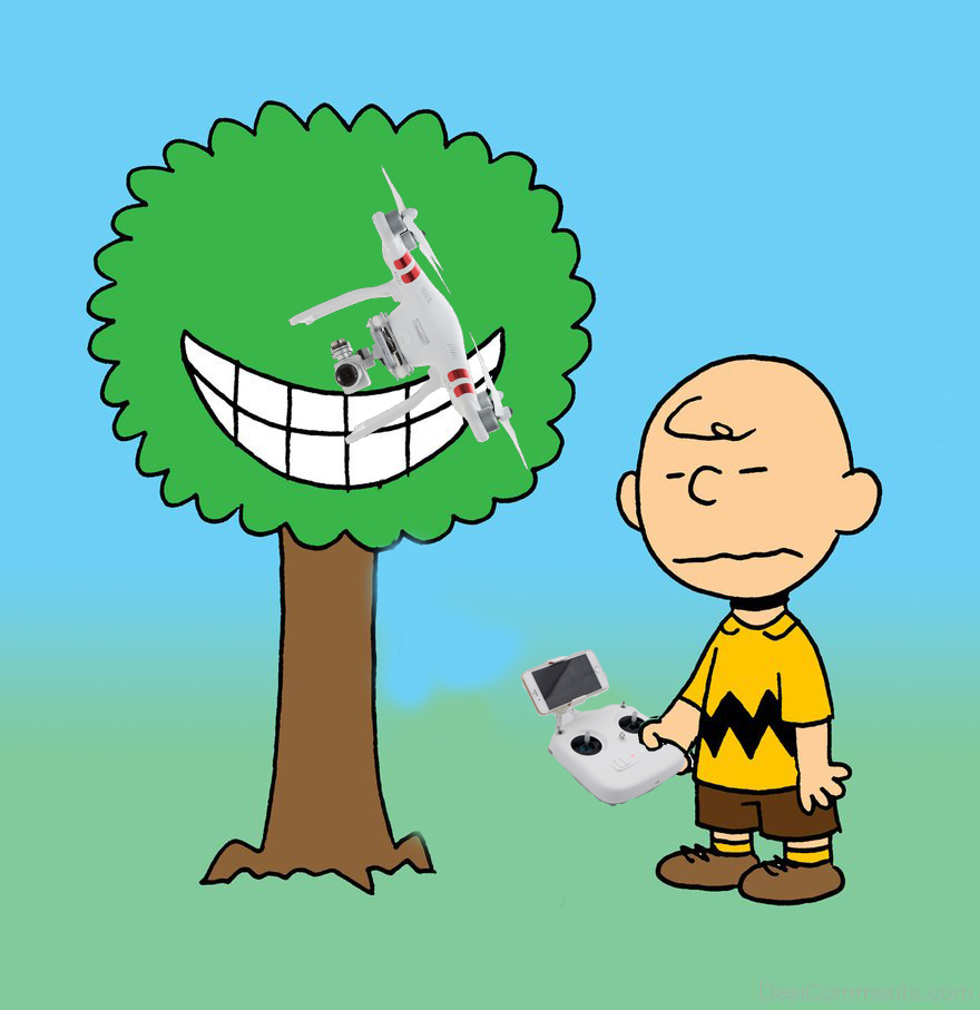 Charlie Brown.png