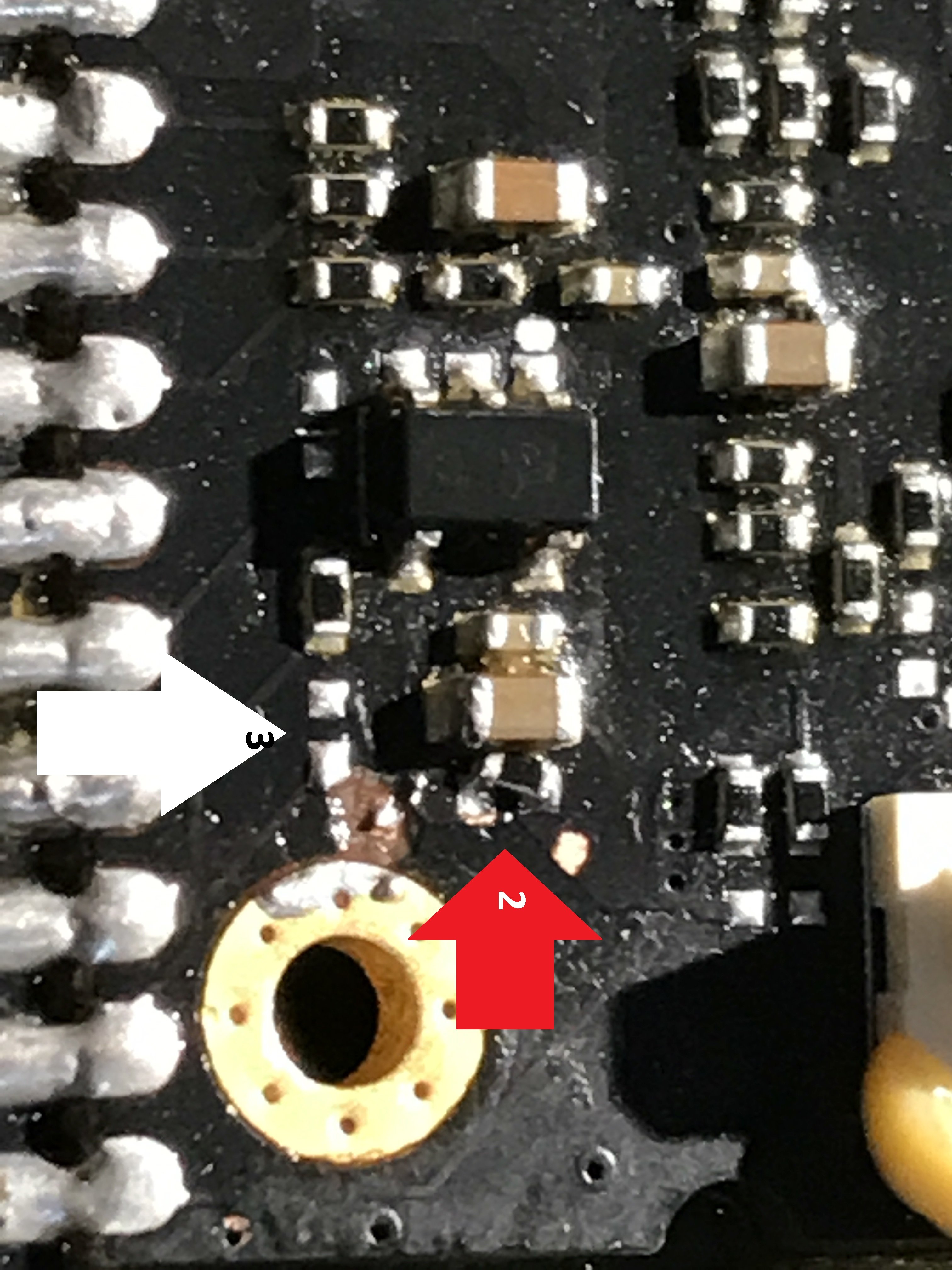 close up1.jpg