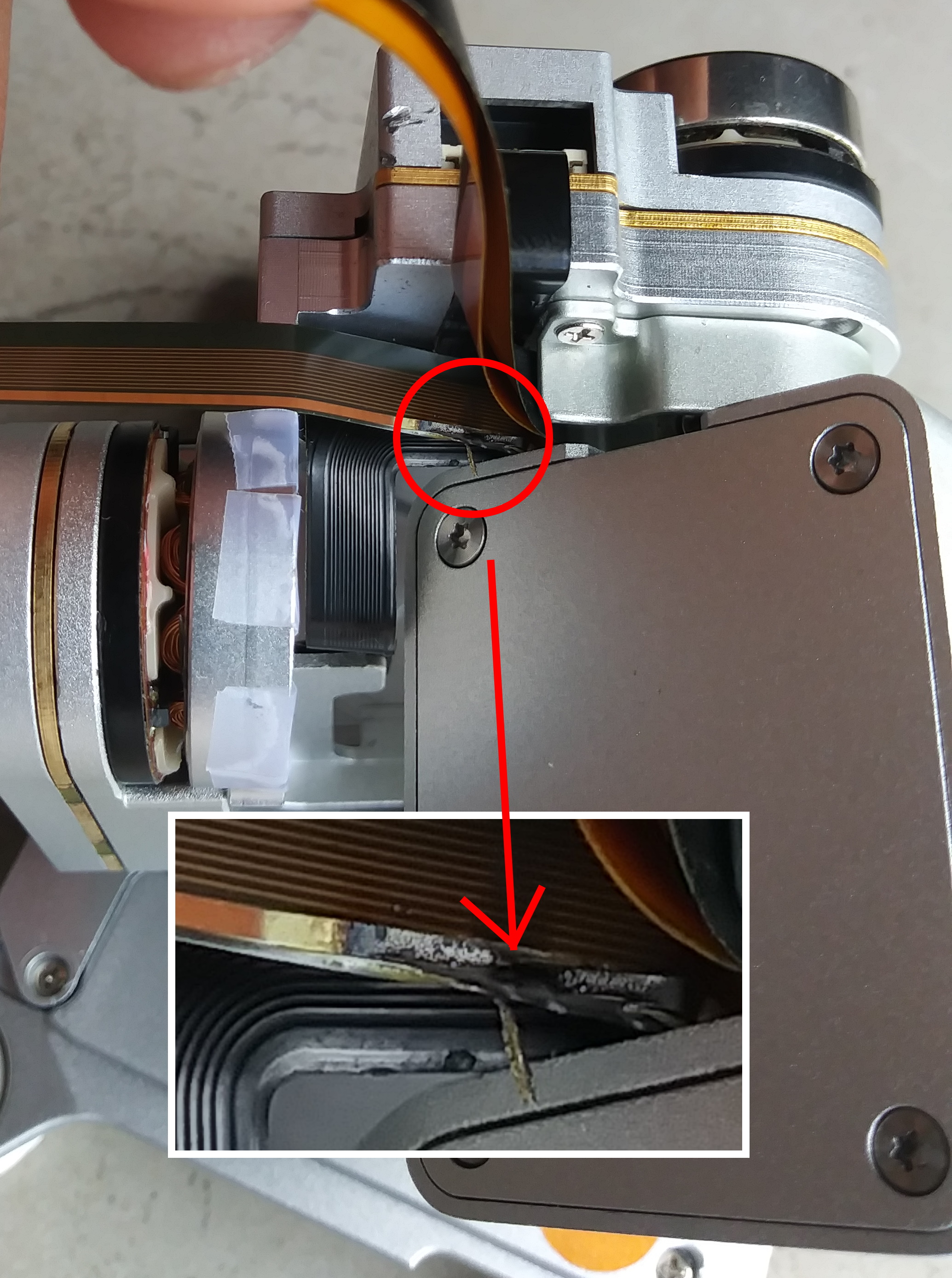 Damaged Ribbon.jpg