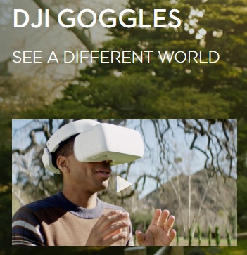 DJI Goggles.jpg