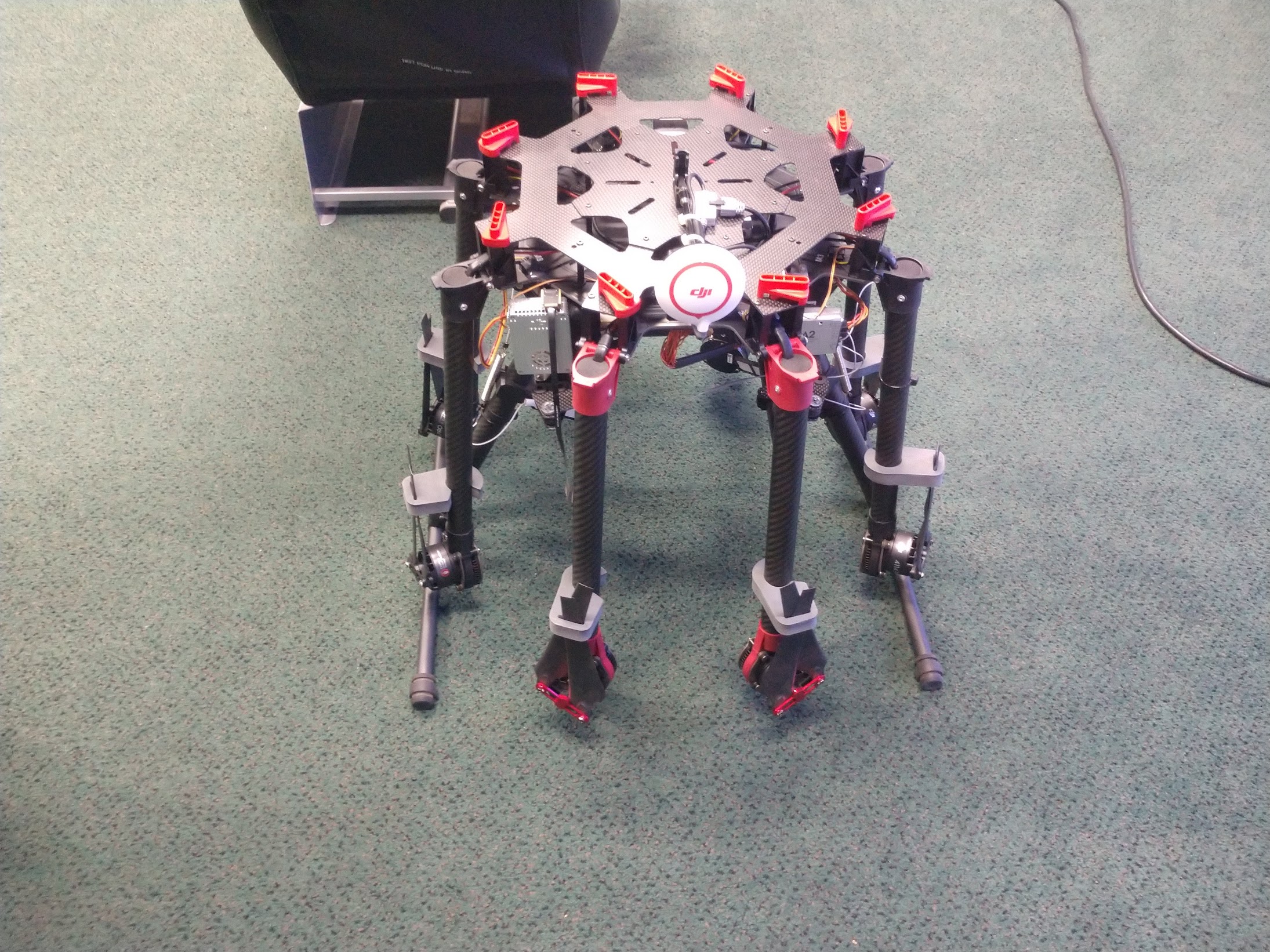 DJI1.jpg