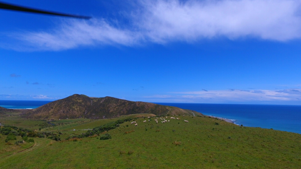 dji1542587813401.jpg