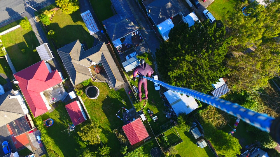 dji1545977901759.jpg