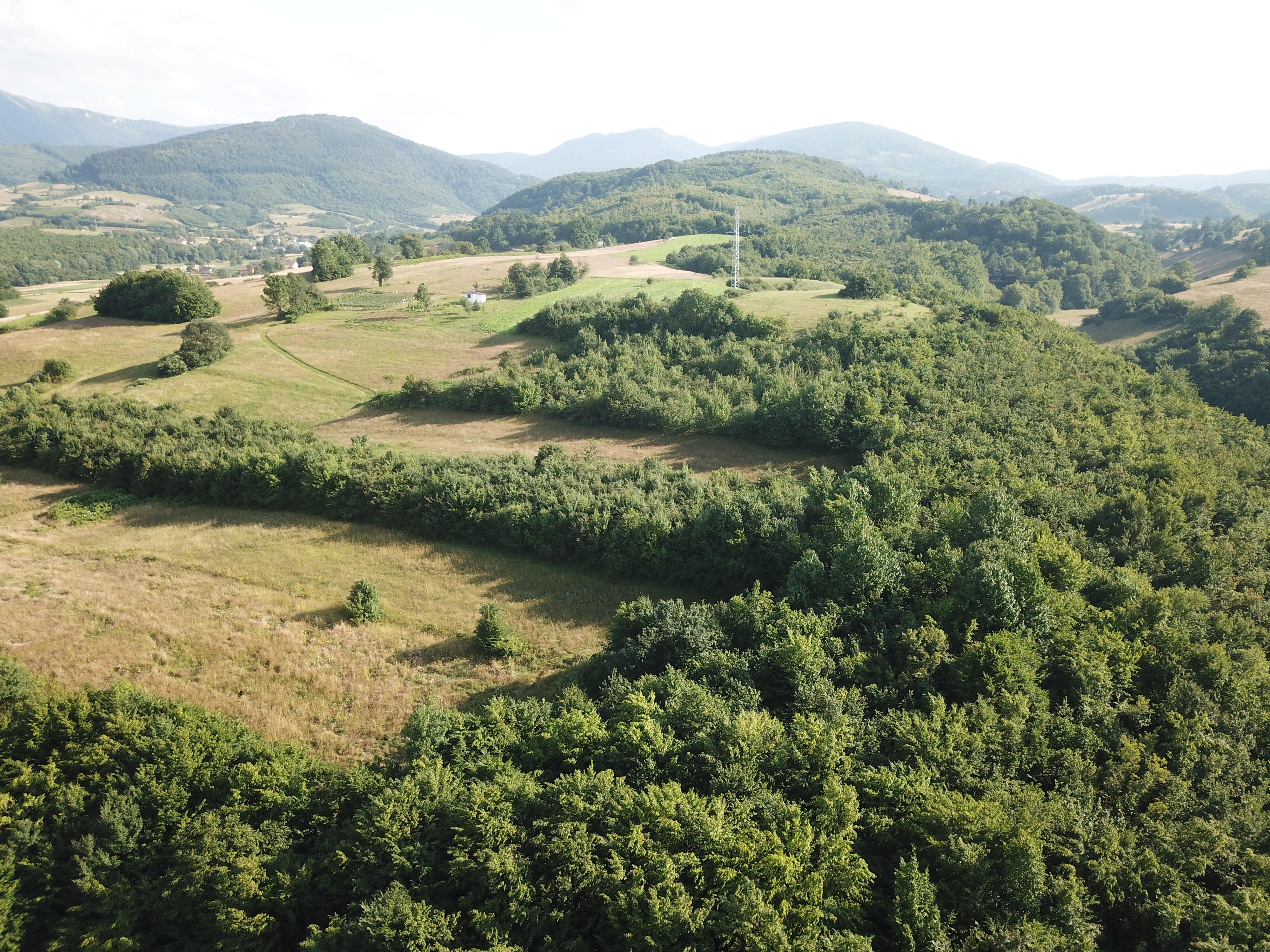 DJI_0008.JPG