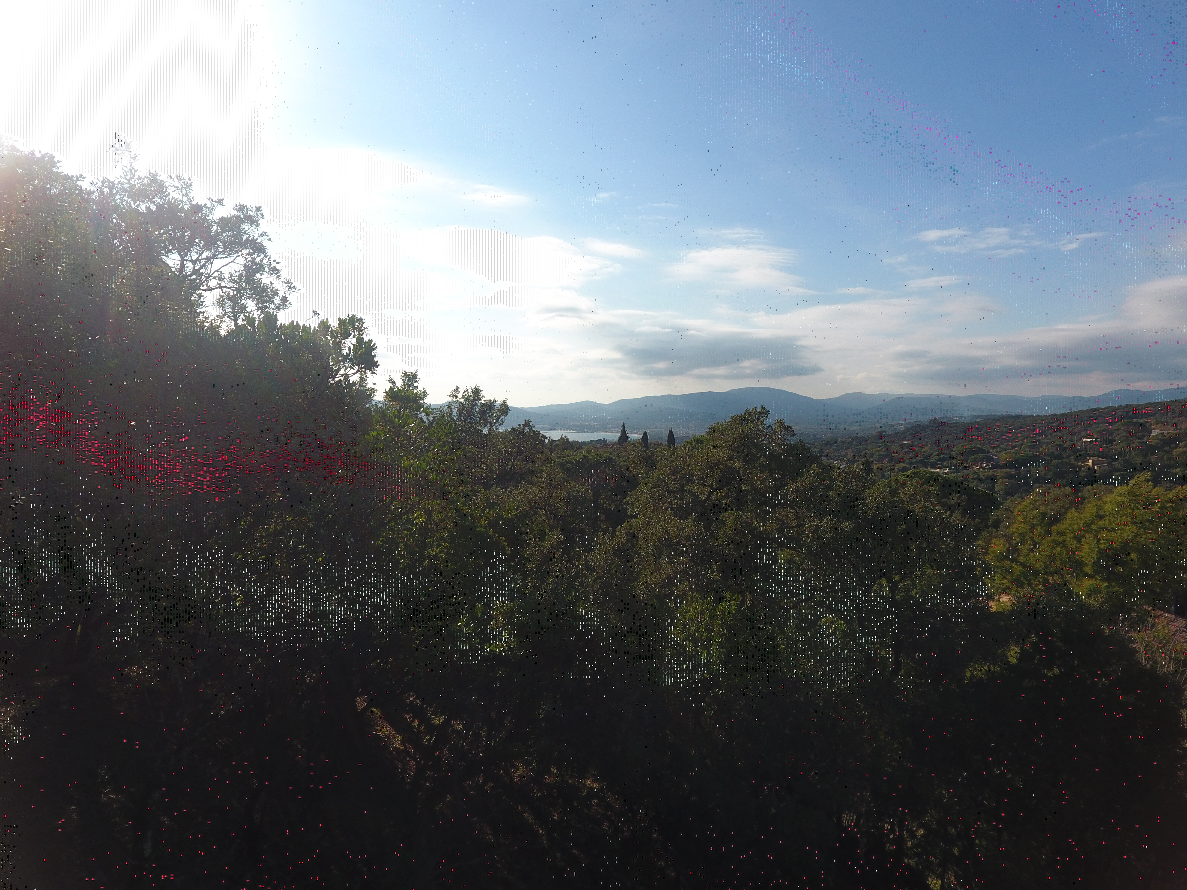 DJI_0050.JPG