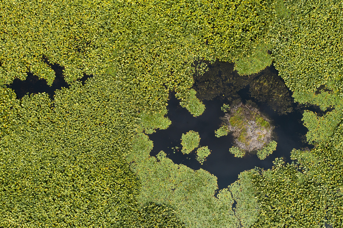 DJI_0075w.jpg