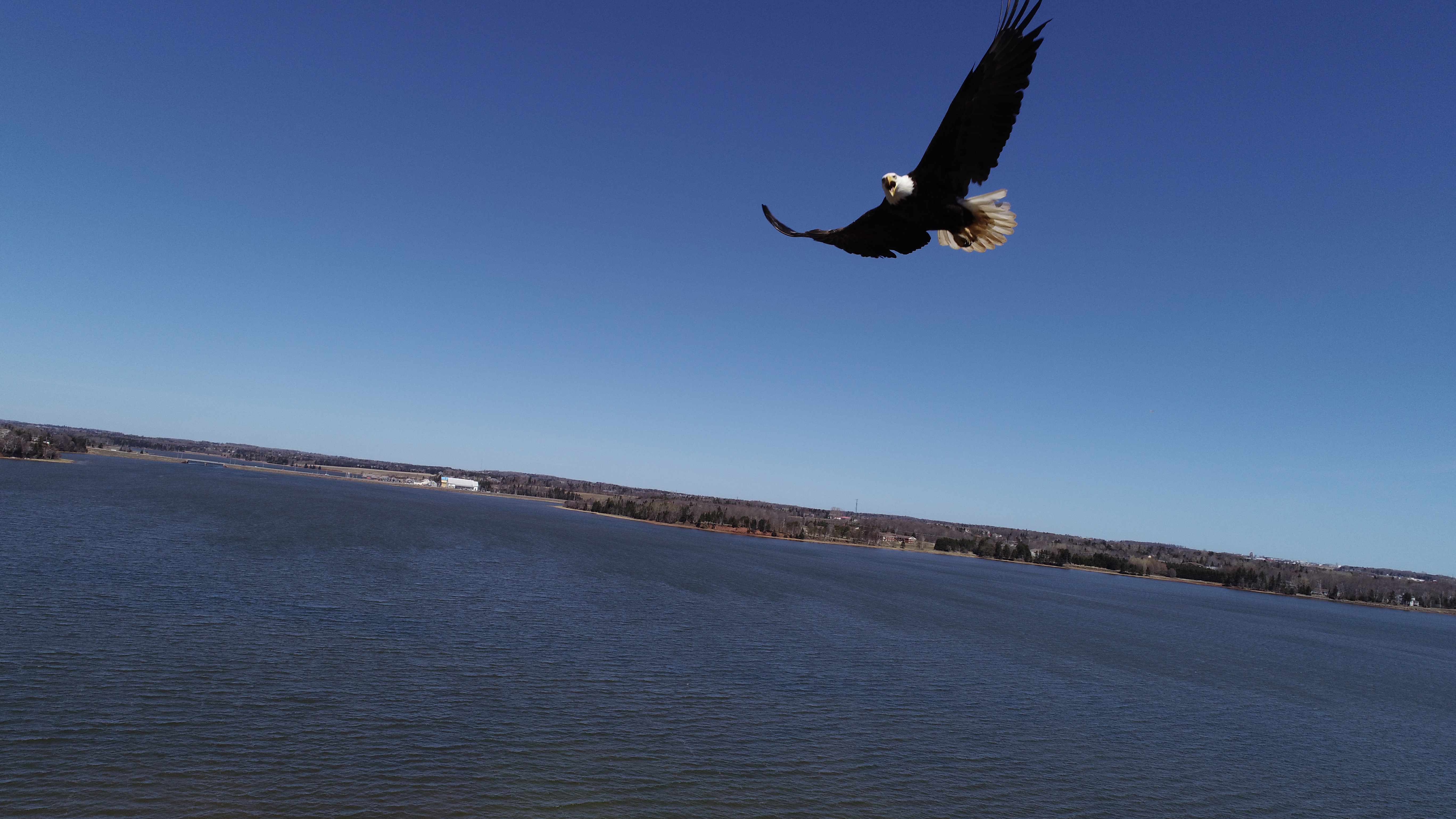 DJI_0107.JPG