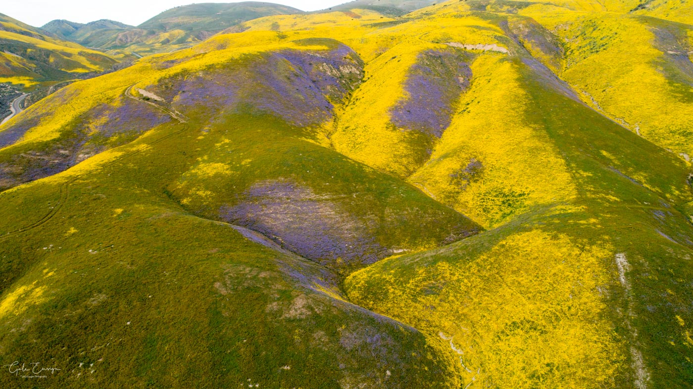 DJI_0134.jpg