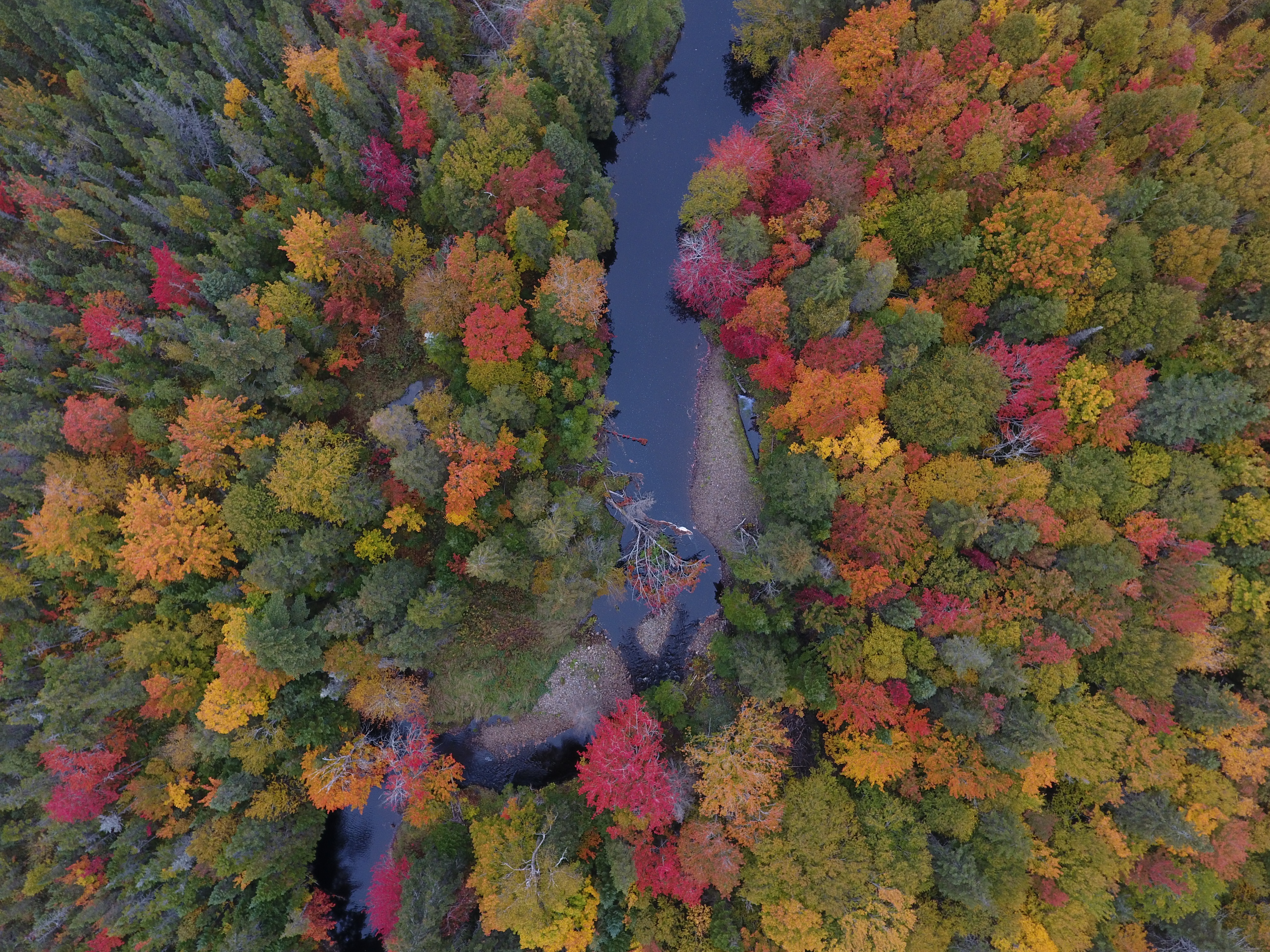 DJI_0260.JPG