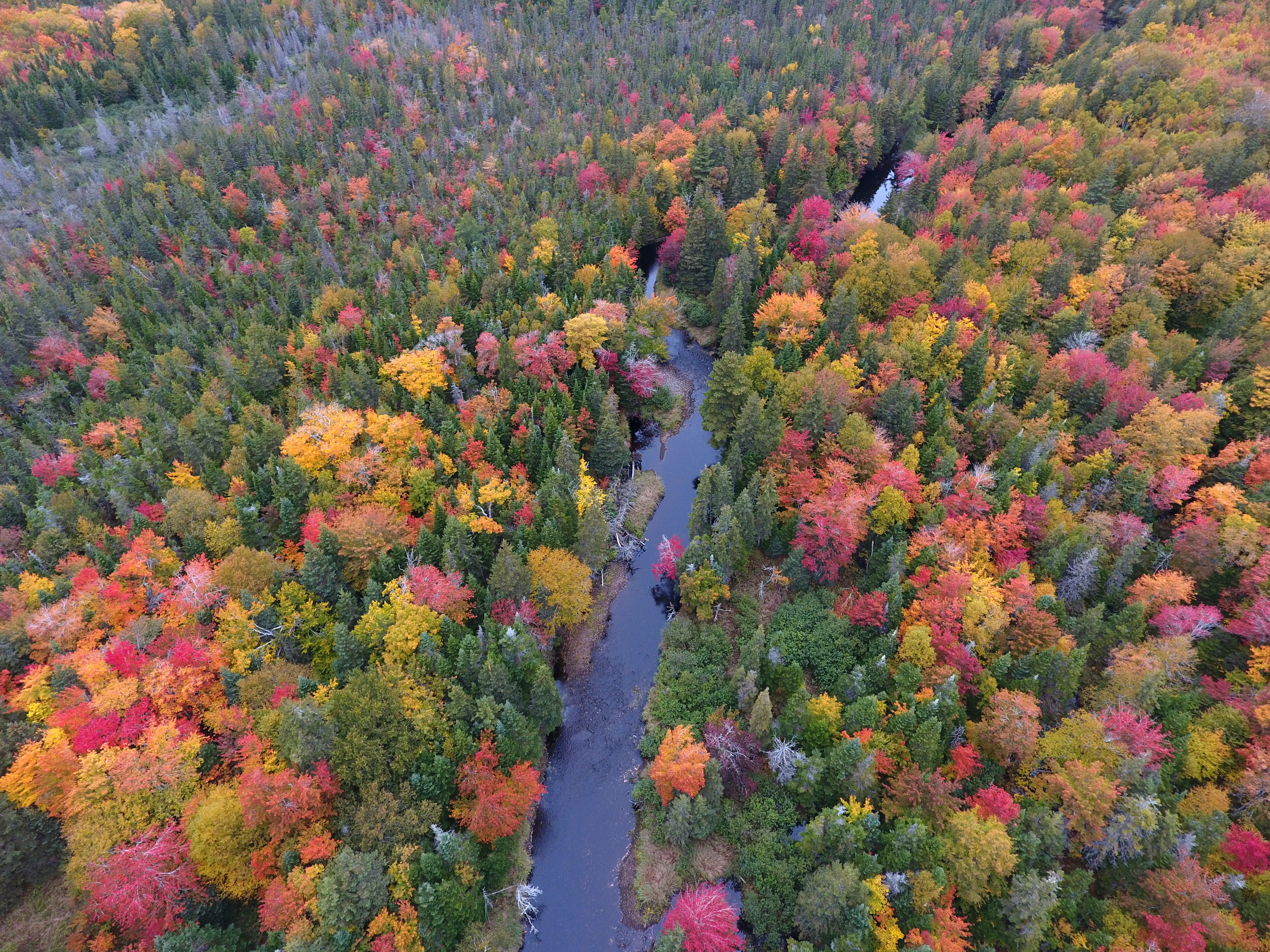DJI_0268.JPG