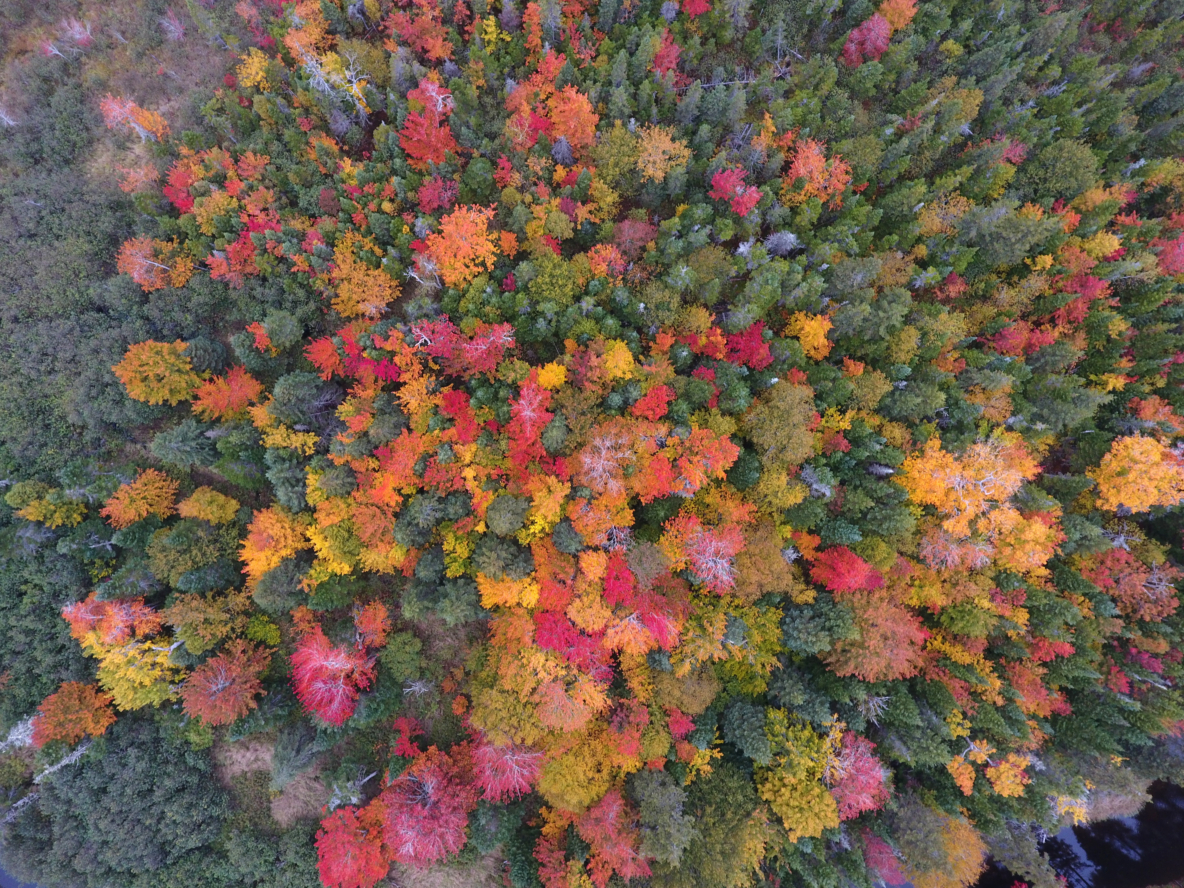 DJI_0271.JPG