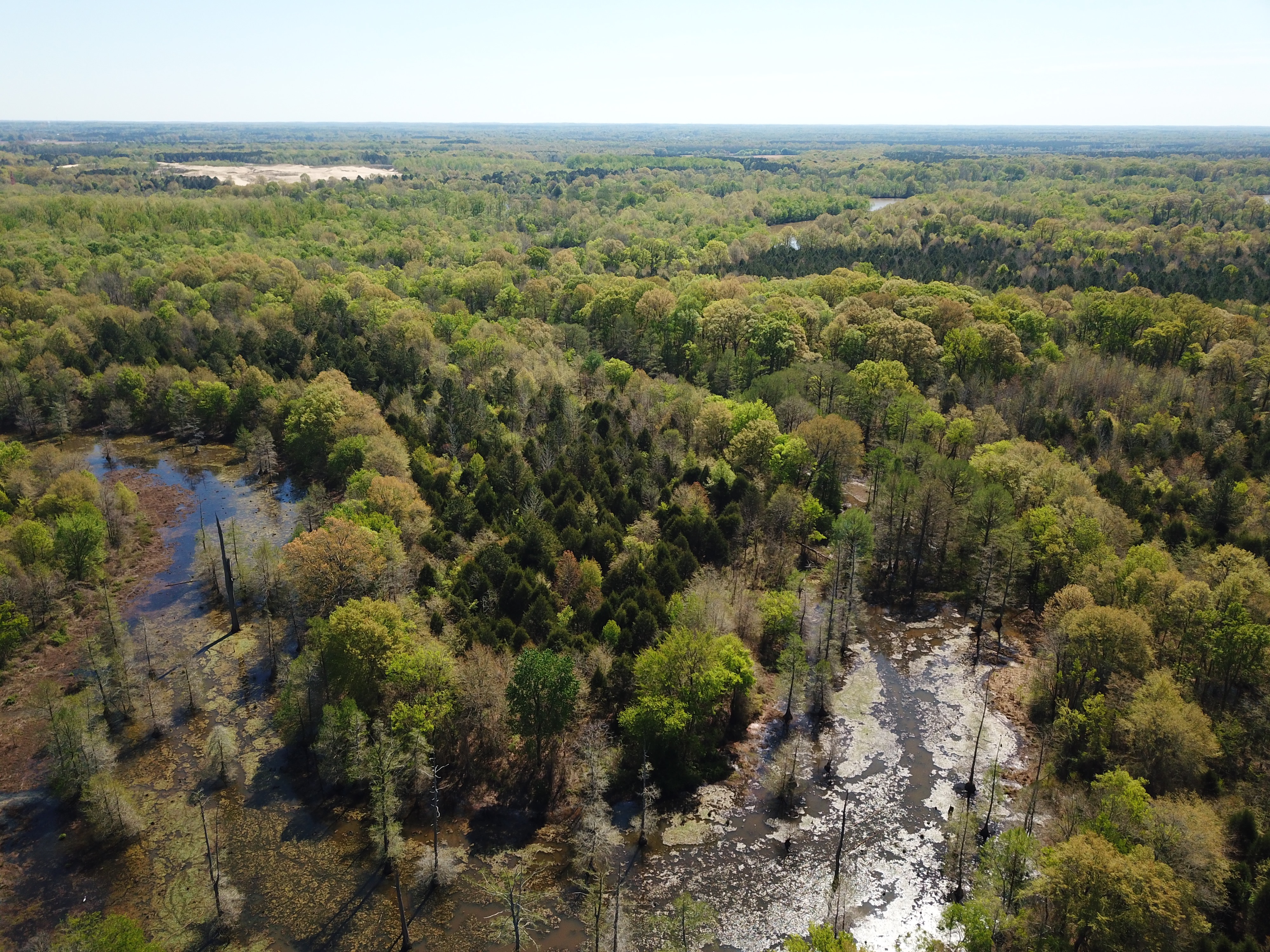 DJI_0557.JPG