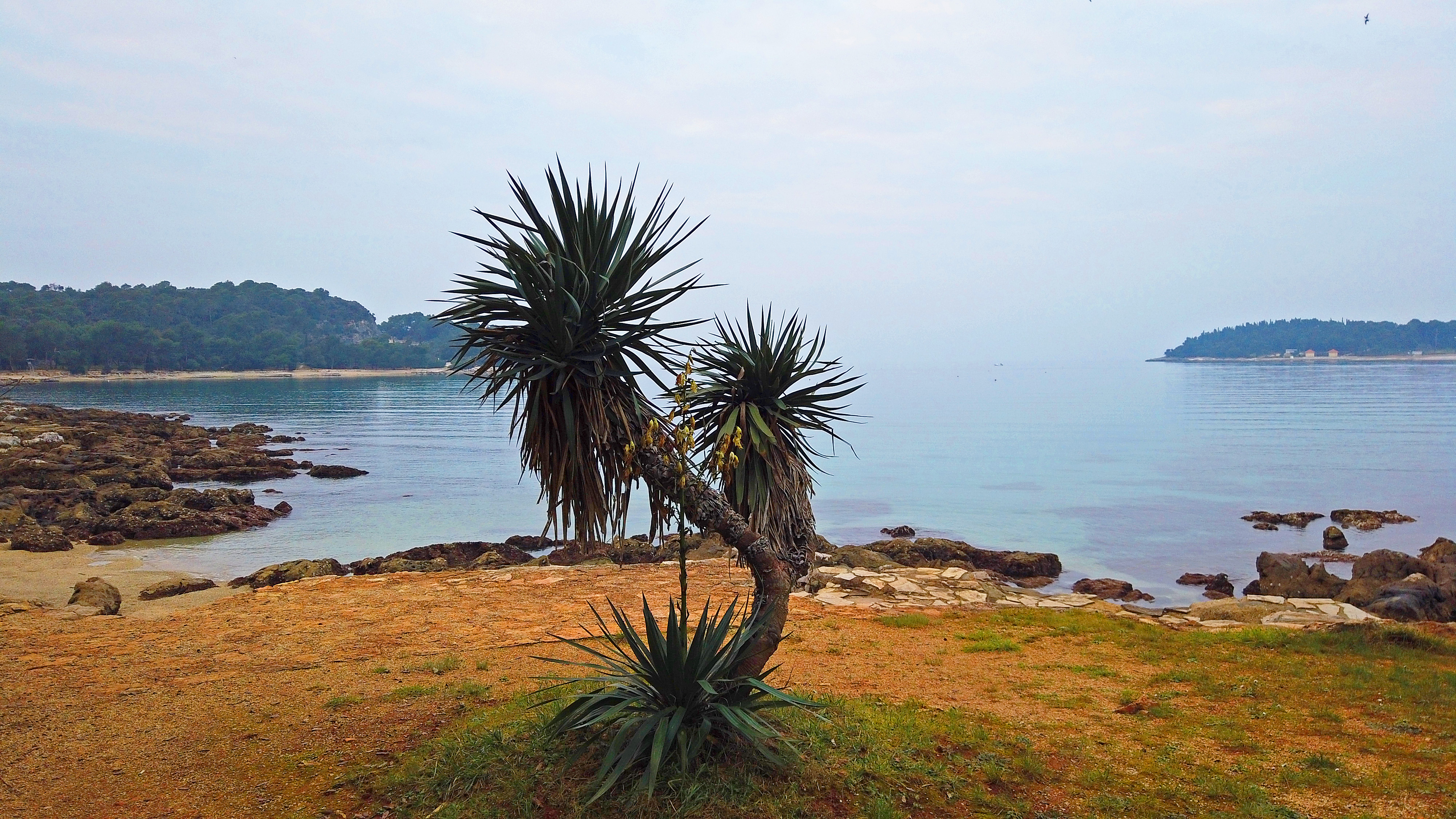 DJI_0762.JPG