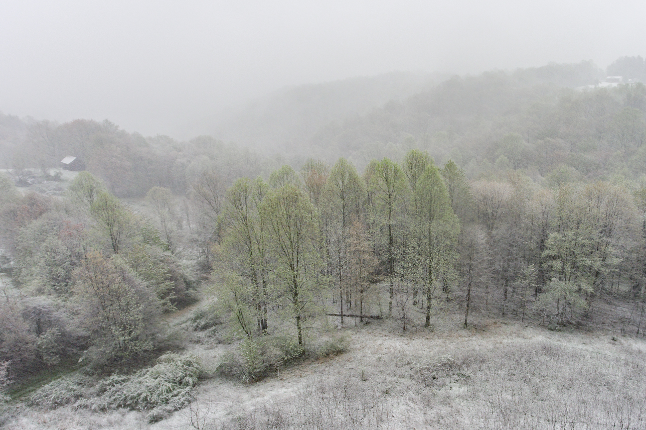DJI_0772r.jpg