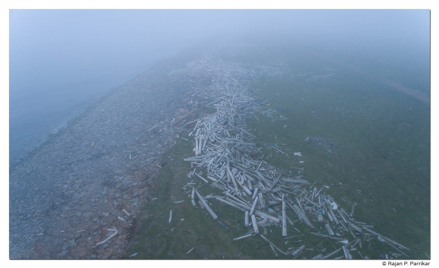 Driftwood-Skoruvik-Langanes-Iceland.jpg