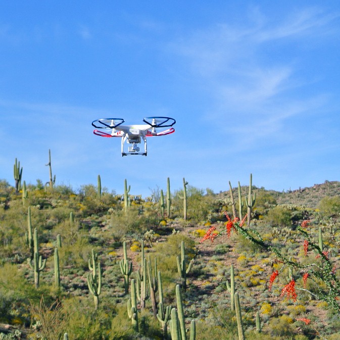 drone desert.jpg