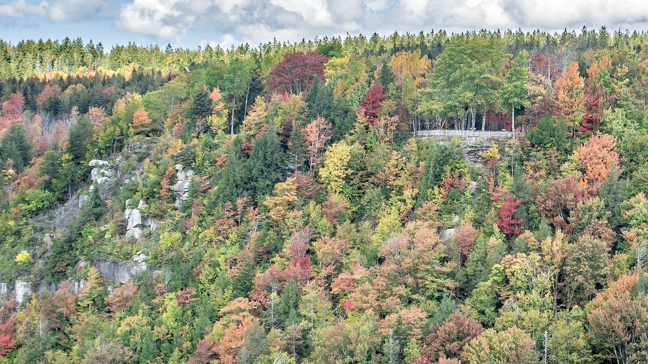 DSC_0759.jpgc.jpg