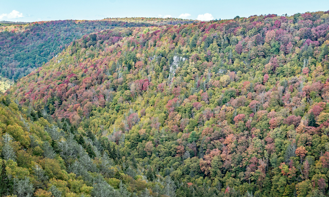 DSC_0760.jpg