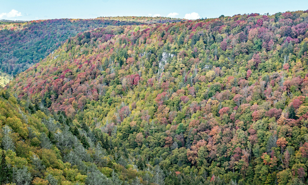DSC_0760.jpg
