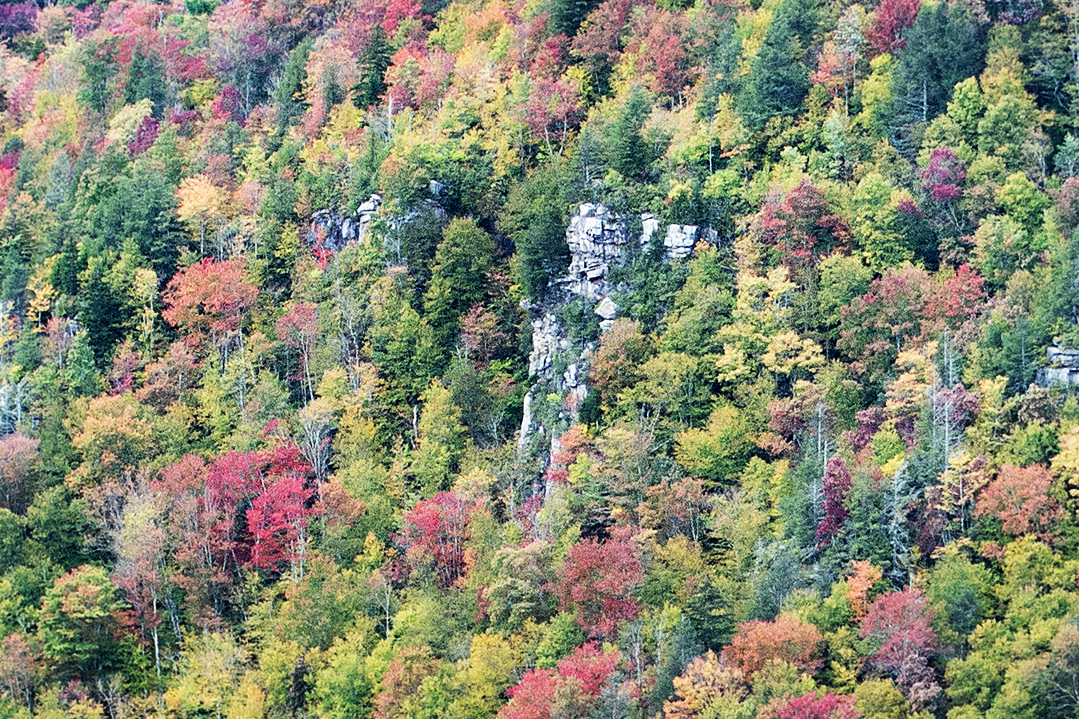 DSC_0762.jpg