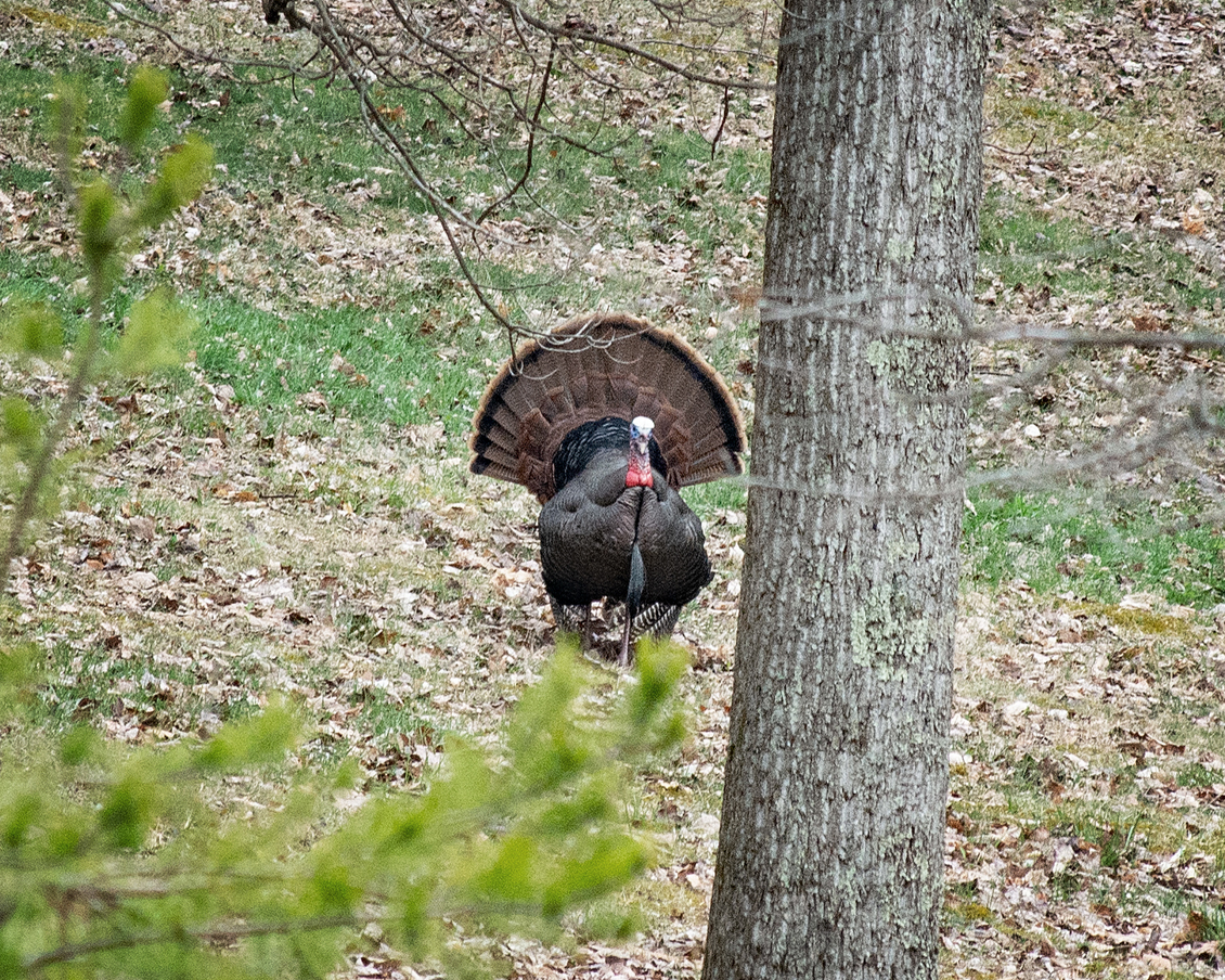 DSC_8551r.jpg