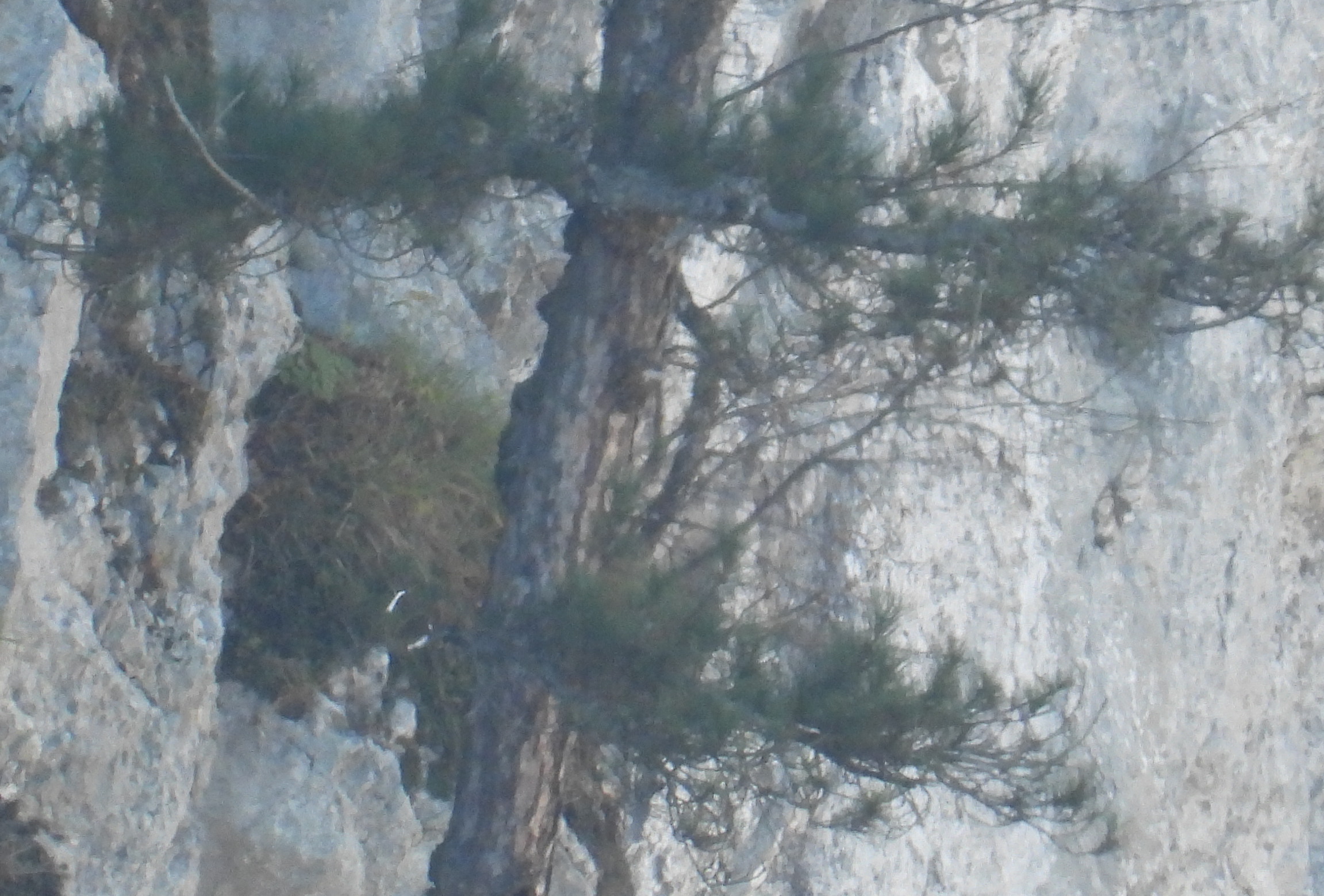 DSCN0041.JPG