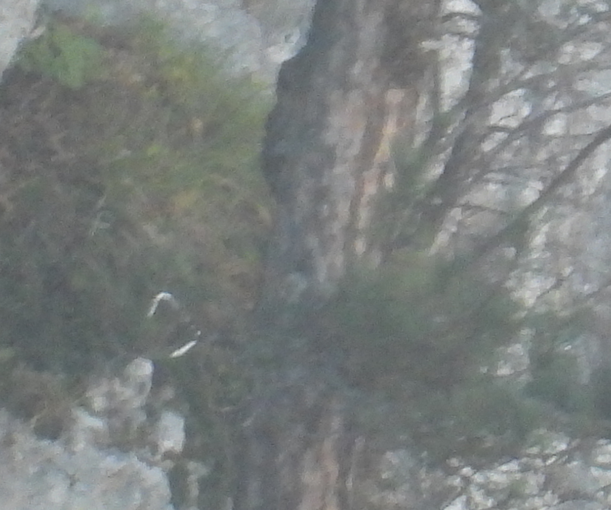DSCN0148.JPG