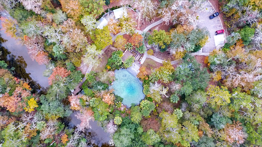 Fall colors of Pamama Area5.jpg