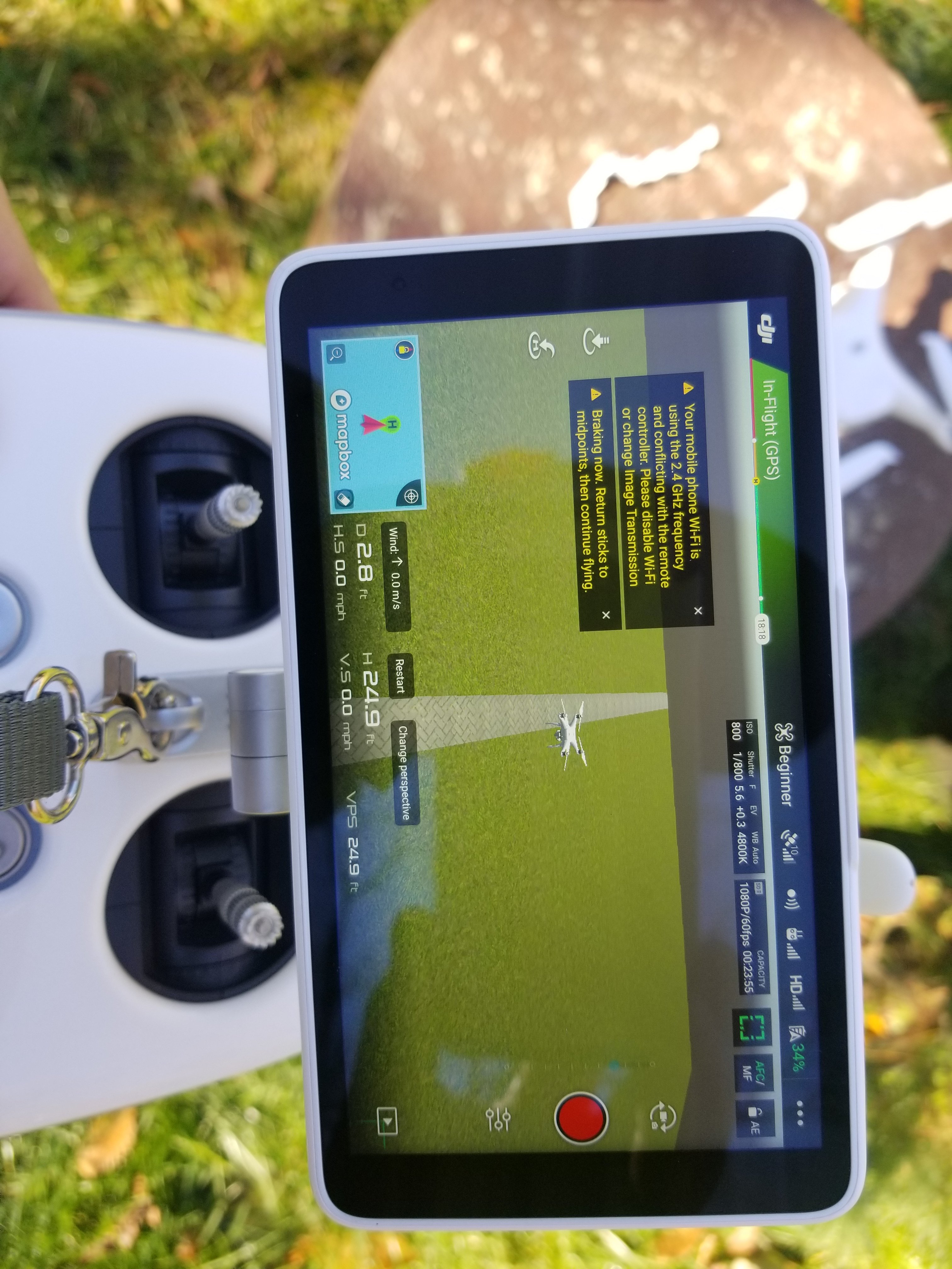 Flight Simulator.jpg