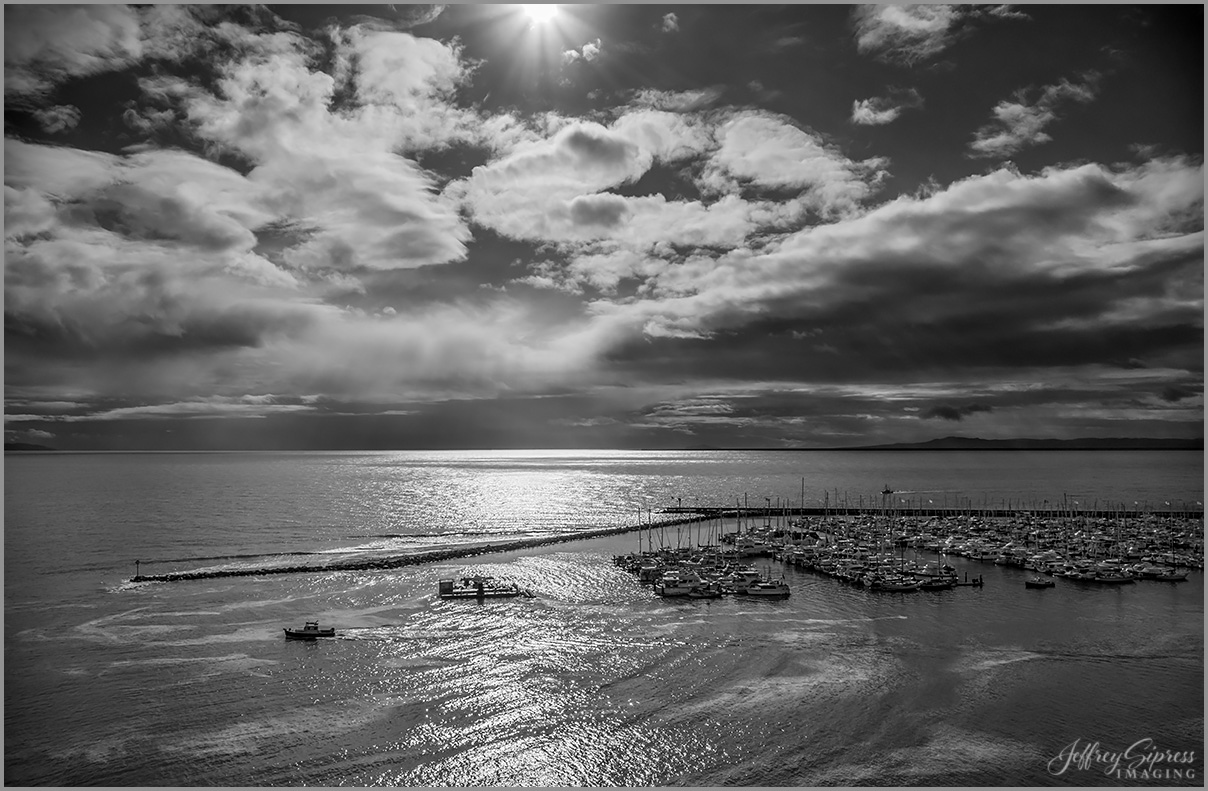 harborster1bw.jpg