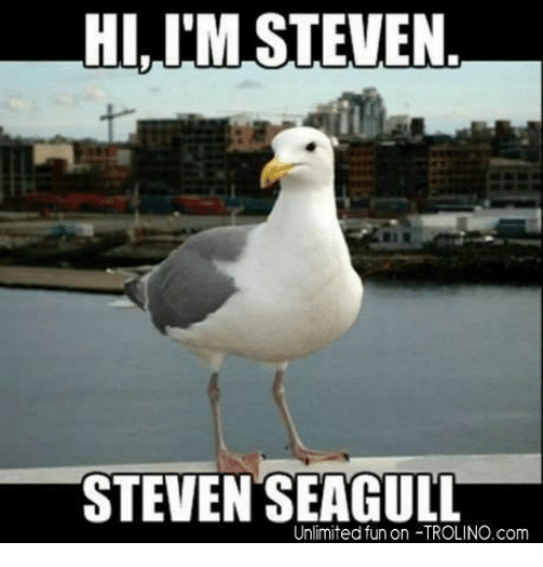 hi-im-steven-steven-seagull-unlimited-fun-on-trolino-com-8069091.png