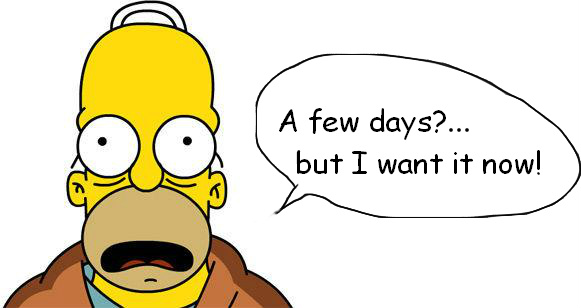 Homer Simpson Instant Gratification.jpg