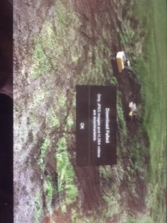 image1.jpeg